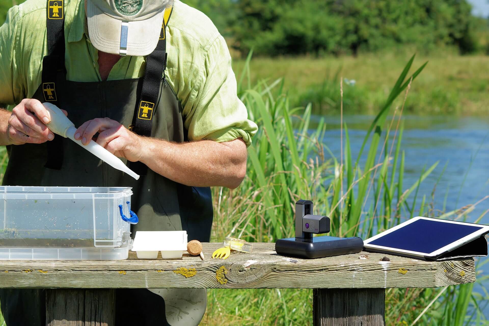 fisheries-fishery-farms-fish-environmental-iolight fisheries fishery farms fish environmental