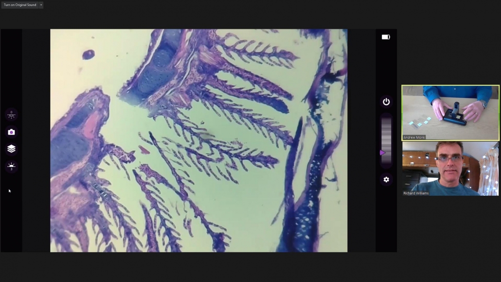 biology teaching with video microscope for Zoom, Teams, Classroom, SKYPE