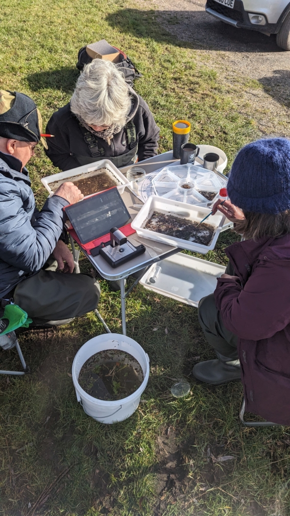 ioLight Microscope counting Riverflies